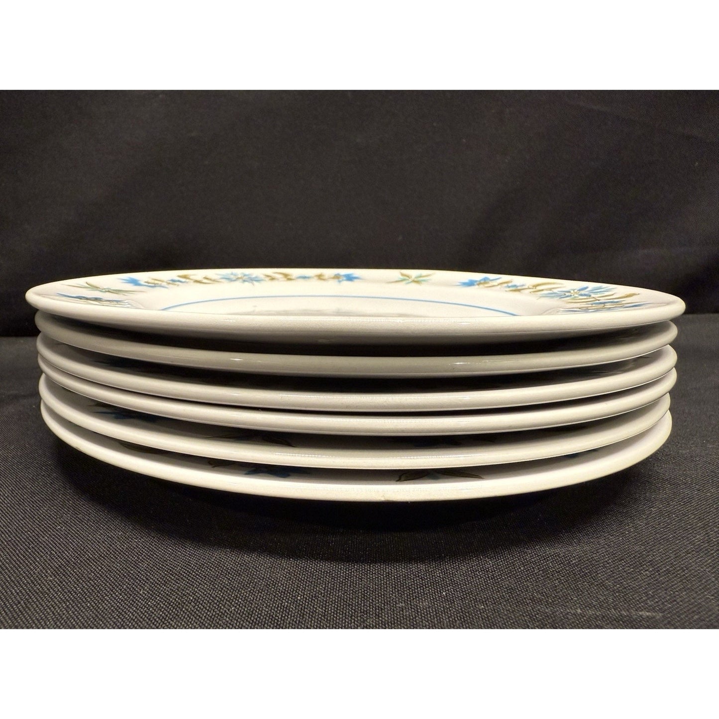 Rare Vintage Mikasa Blue Green Mediterrania 7.75” Salad Plates Set of 6 top knot