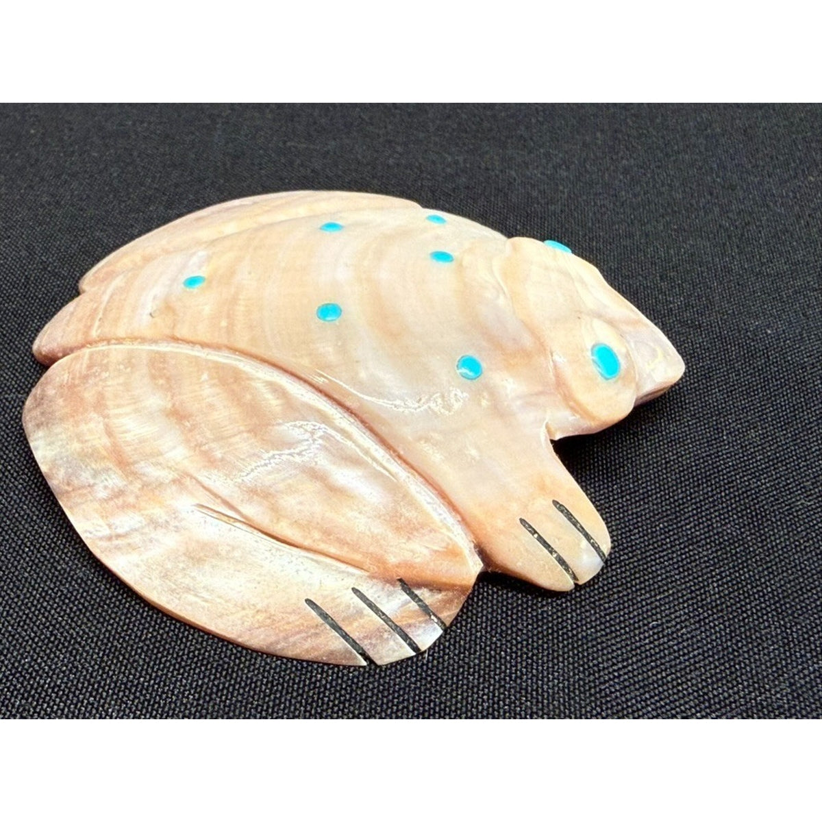 Native American Zuni Shell Fetish Frog Carving w/ Turquoise dots 3"x 3"