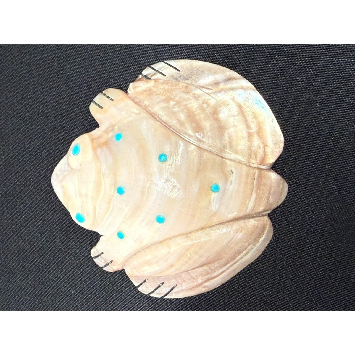 Native American Zuni Shell Fetish Frog Carving w/ Turquoise dots 3"x 3"