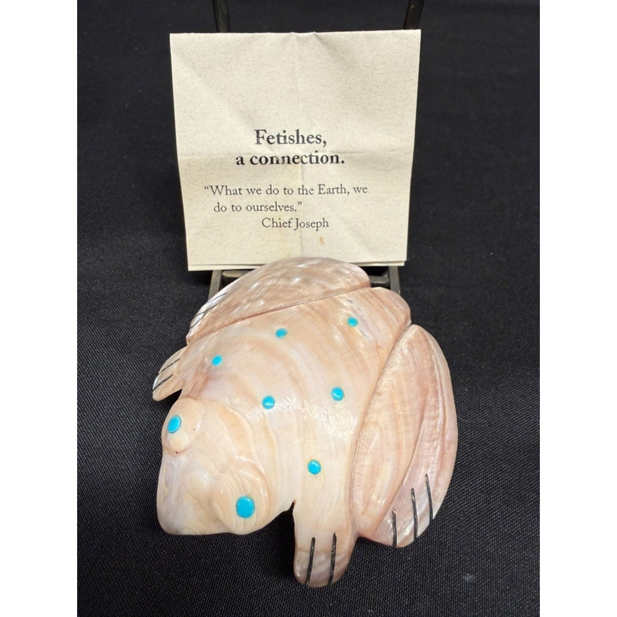 Native American Zuni Shell Fetish Frog Carving w/ Turquoise dots 3"x 3"