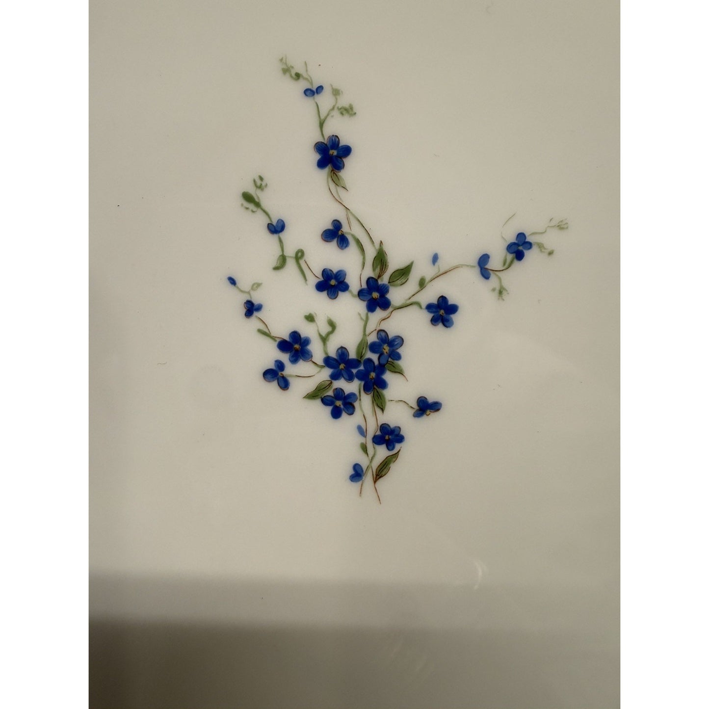 Bernardaud Limoges France Myosotis Handled 11” Cake Plate platter blue flowers