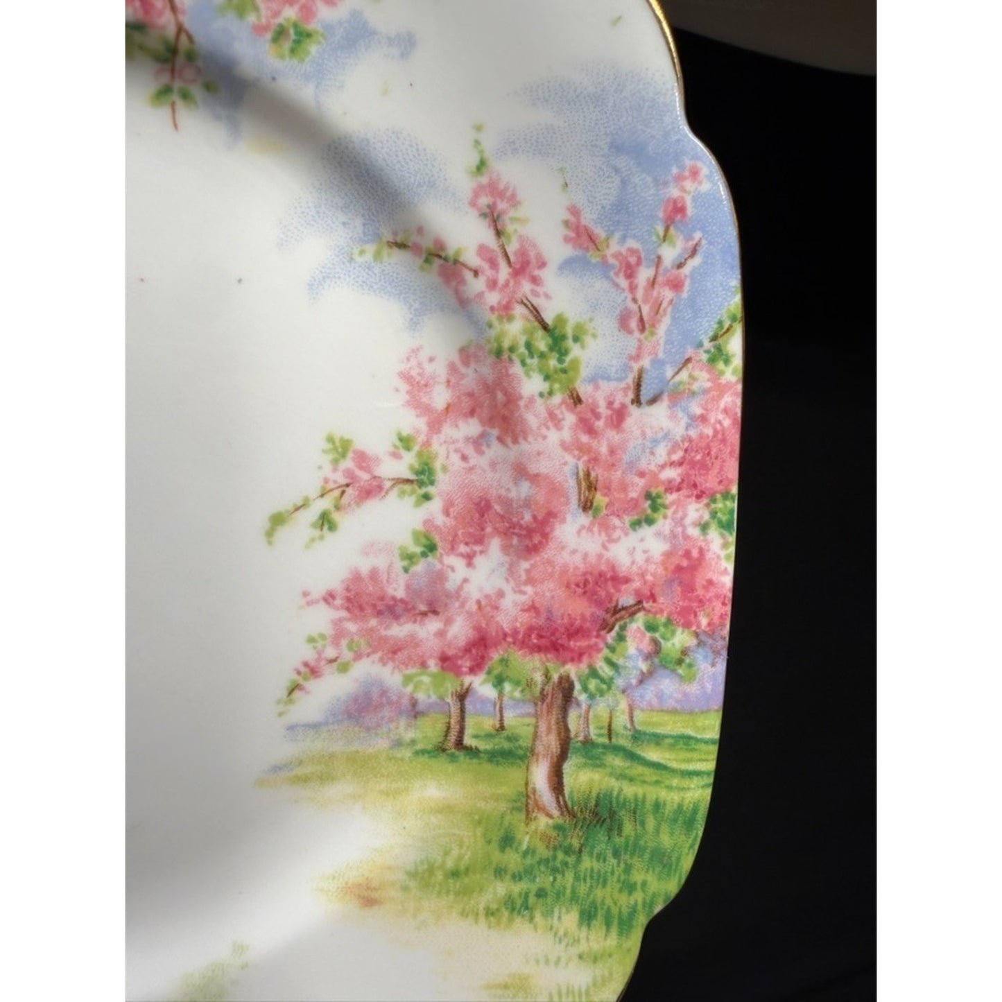 8 Royal Albert England Blossom Time 6.25" Bread Plates Scalloped Rim Pink VTG