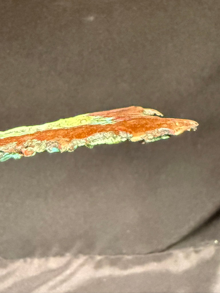 Copper Splash sculpture small Copper Specimen 3.5 inch mineral/ metal decor piece