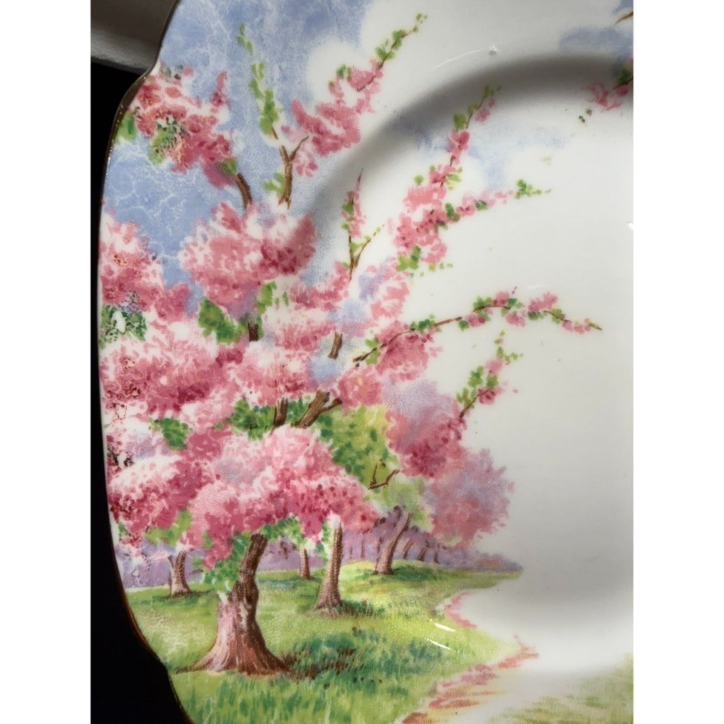 8 Royal Albert England Blossom Time 6.25" Bread Plates Scalloped Rim Pink VTG