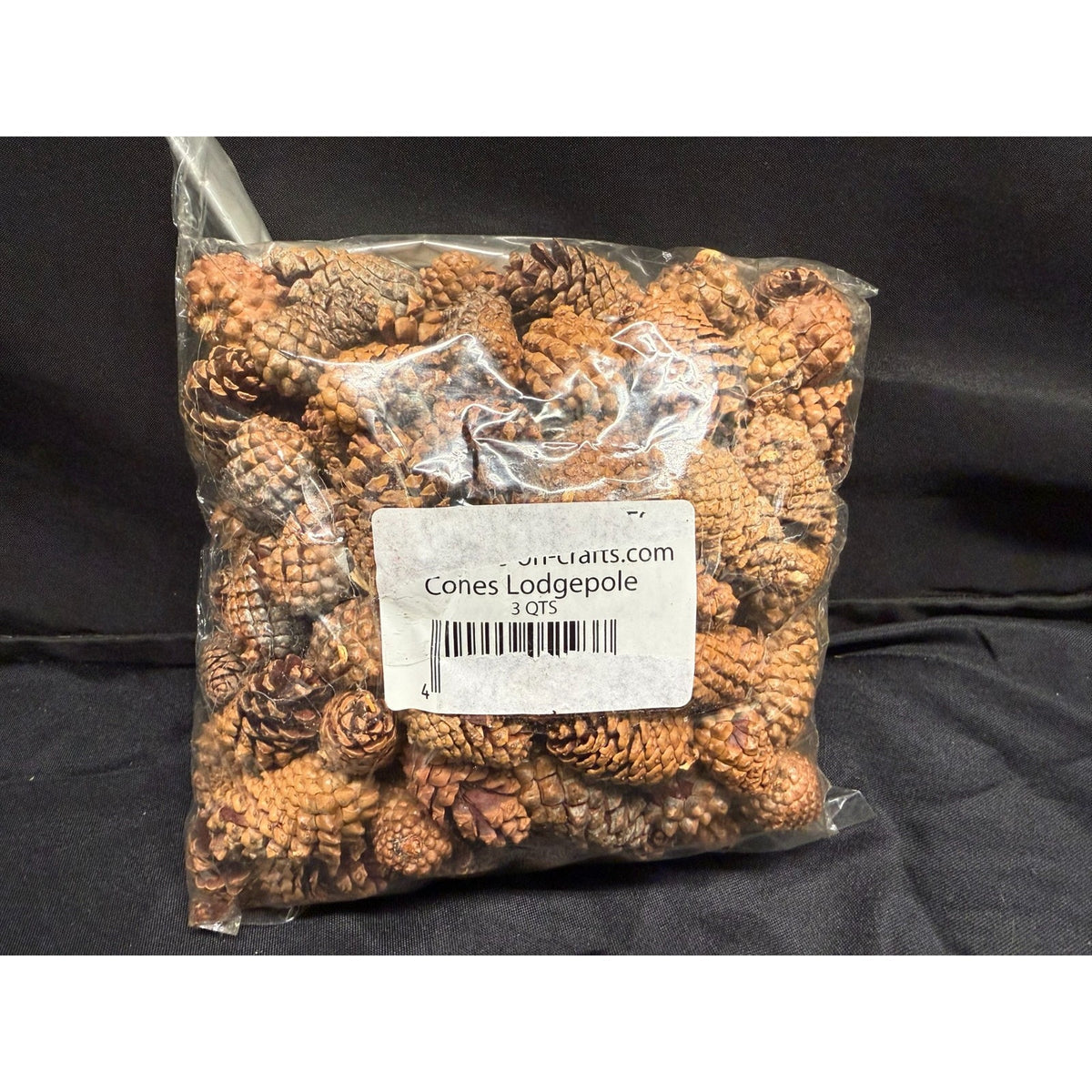 2 lbs Christmas 1-2 Inch Small Brown Pine Cones Thanksgiving Crafts Wreaths 3QTS