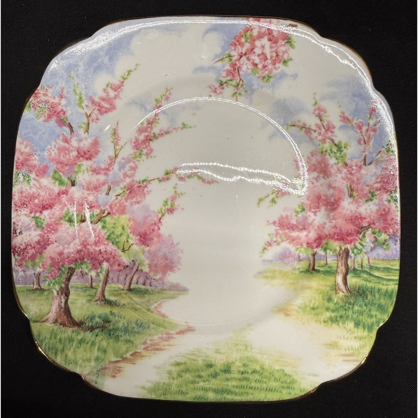 8 Royal Albert England Blossom Time 6.25" Bread Plates Scalloped Rim Pink VTG