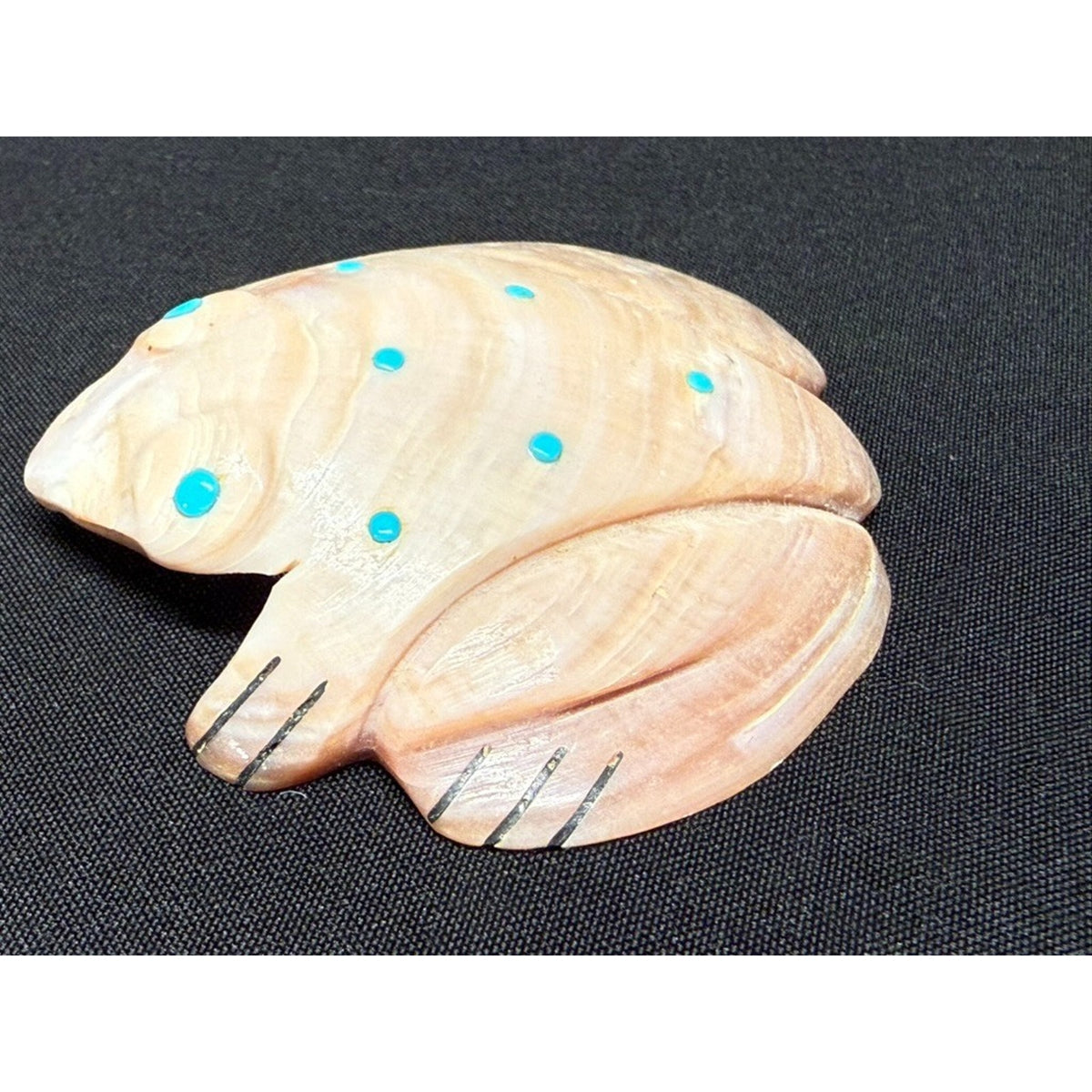 Native American Zuni Shell Fetish Frog Carving w/ Turquoise dots 3"x 3"