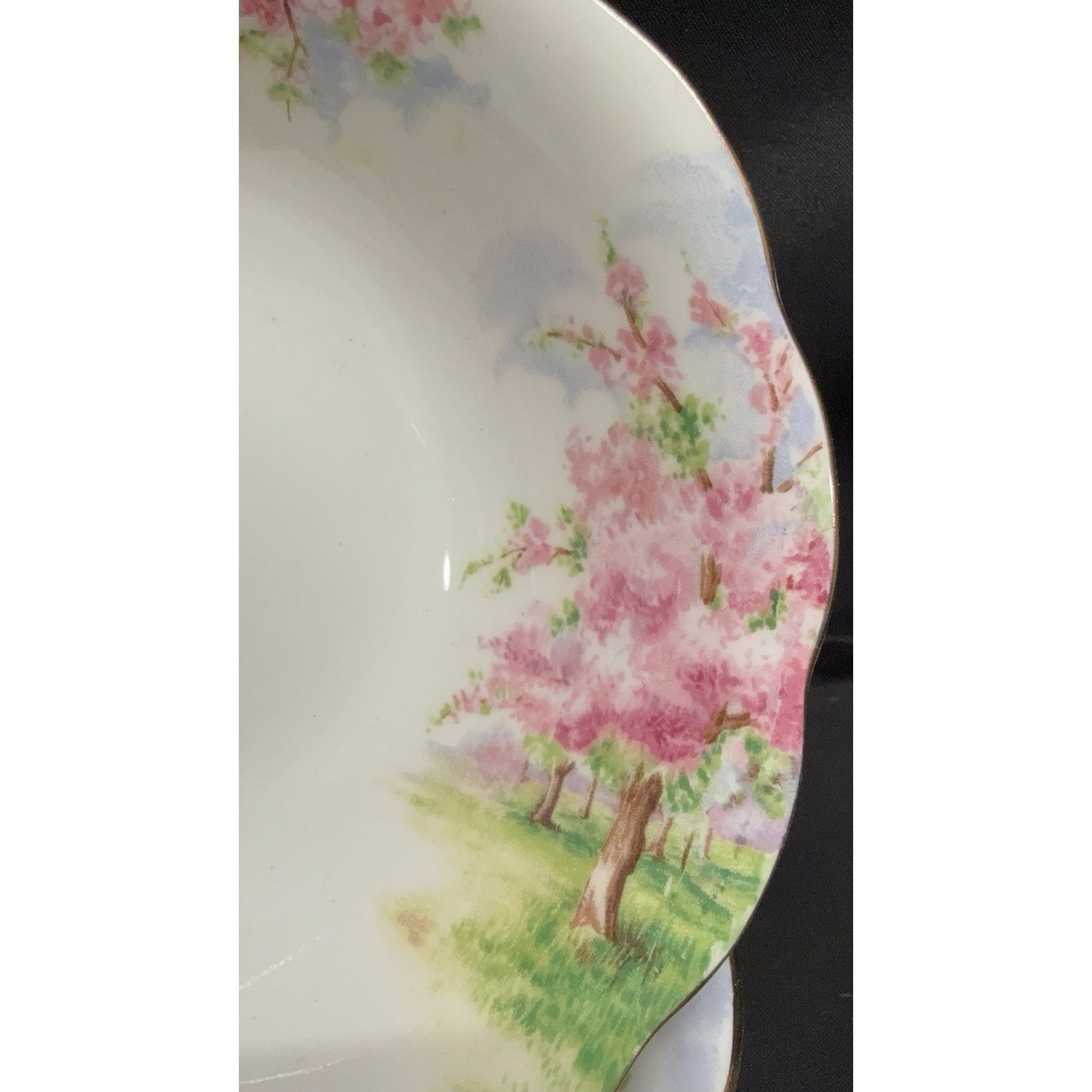 8 Royal Albert England Blossom Time 6” Soup Cereal Bowls Scalloped Rim Pink VTG