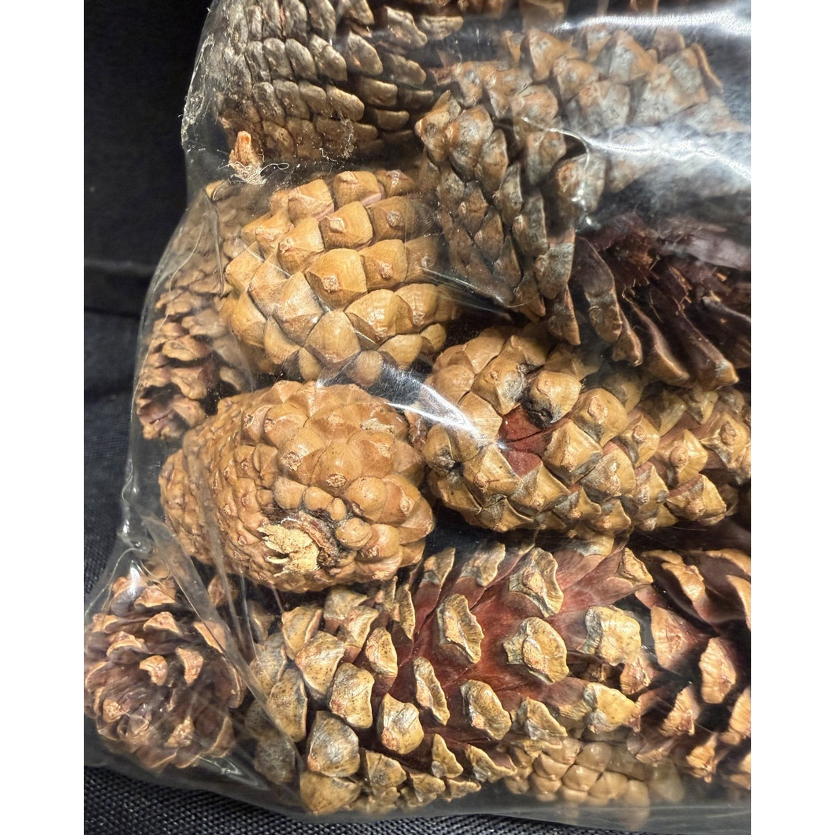 2 lbs Christmas 1-2 Inch Small Brown Pine Cones Thanksgiving Crafts Wreaths 3QTS