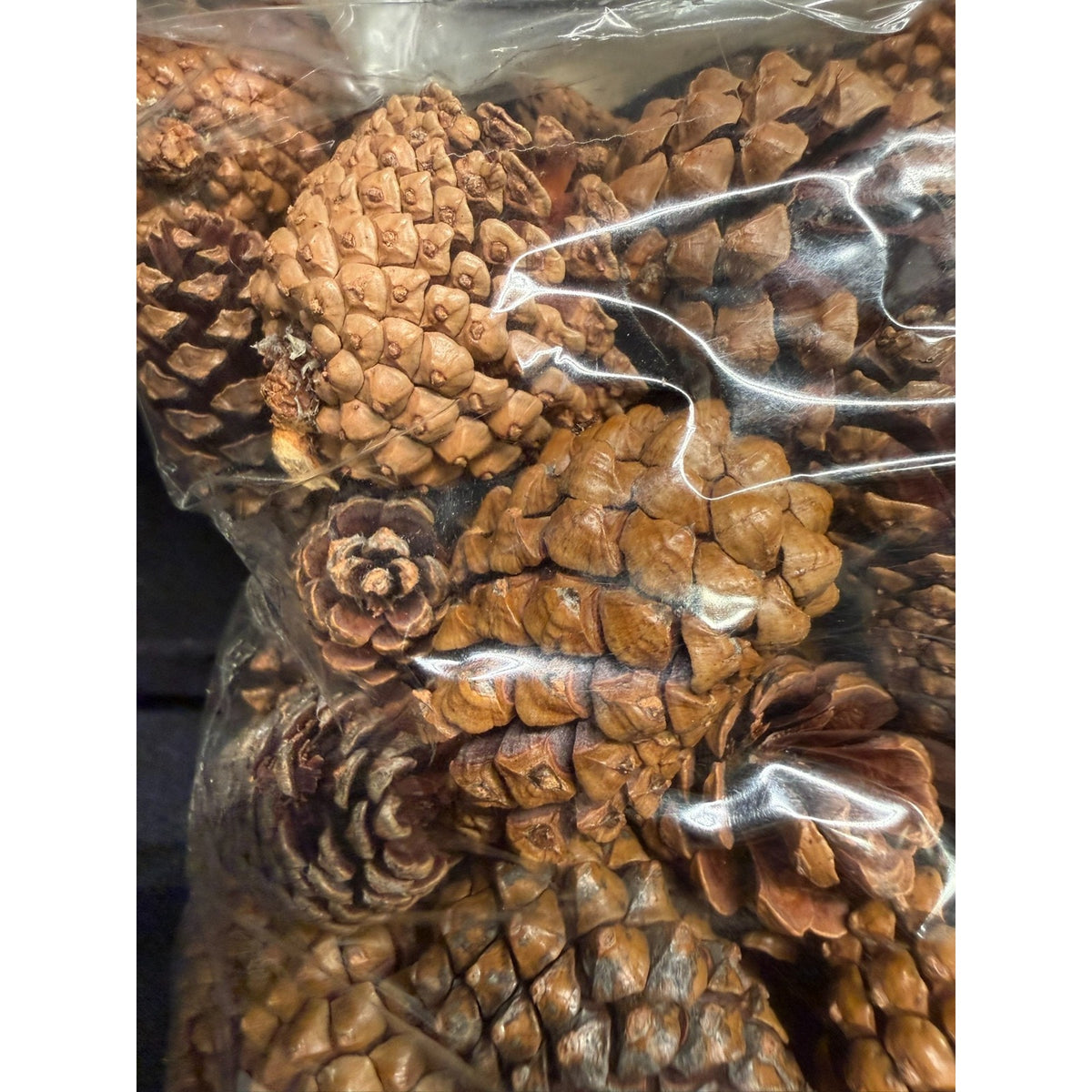 2 lbs Christmas 1-2 Inch Small Brown Pine Cones Thanksgiving Crafts Wreaths 3QTS