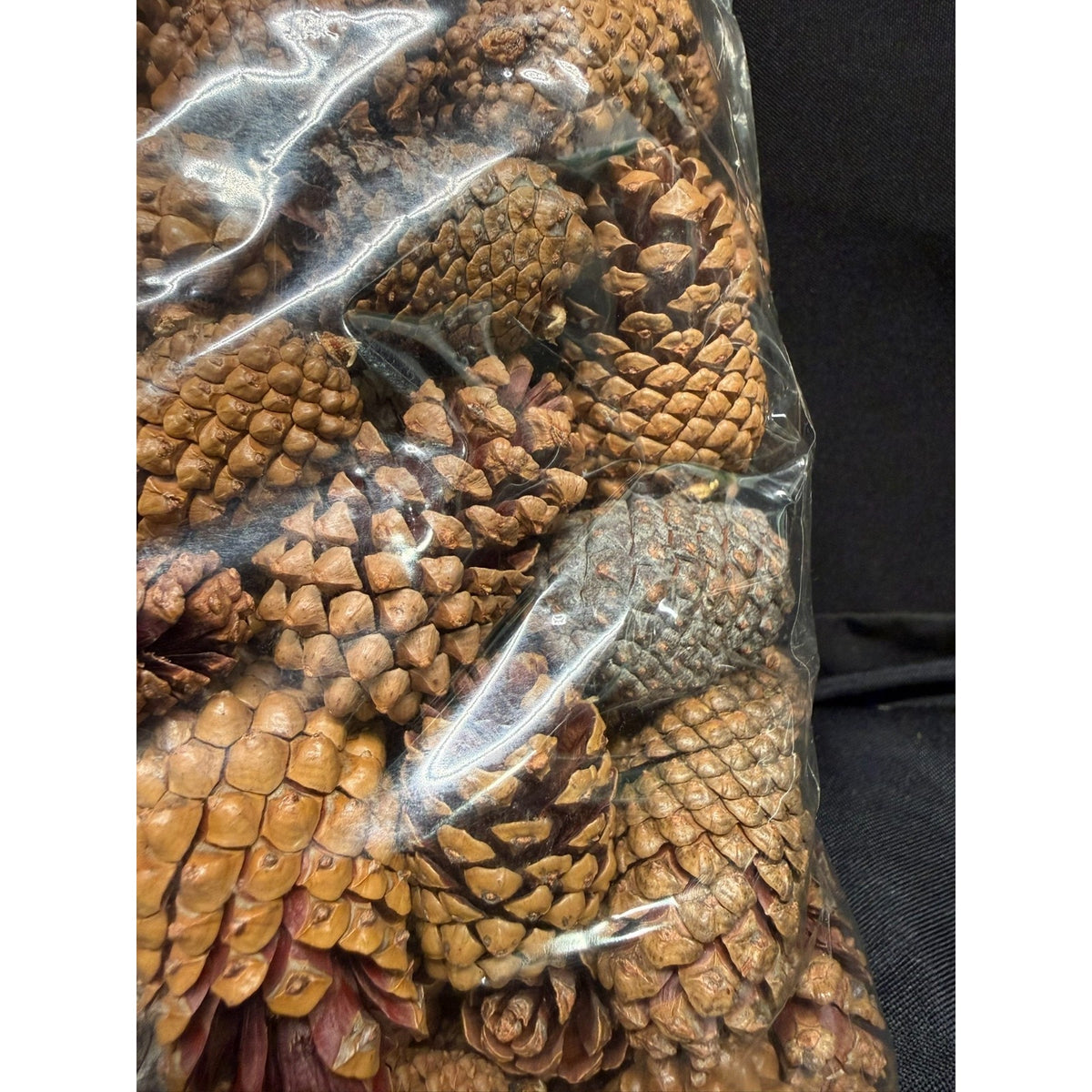 2 lbs Christmas 1-2 Inch Small Brown Pine Cones Thanksgiving Crafts Wreaths 3QTS