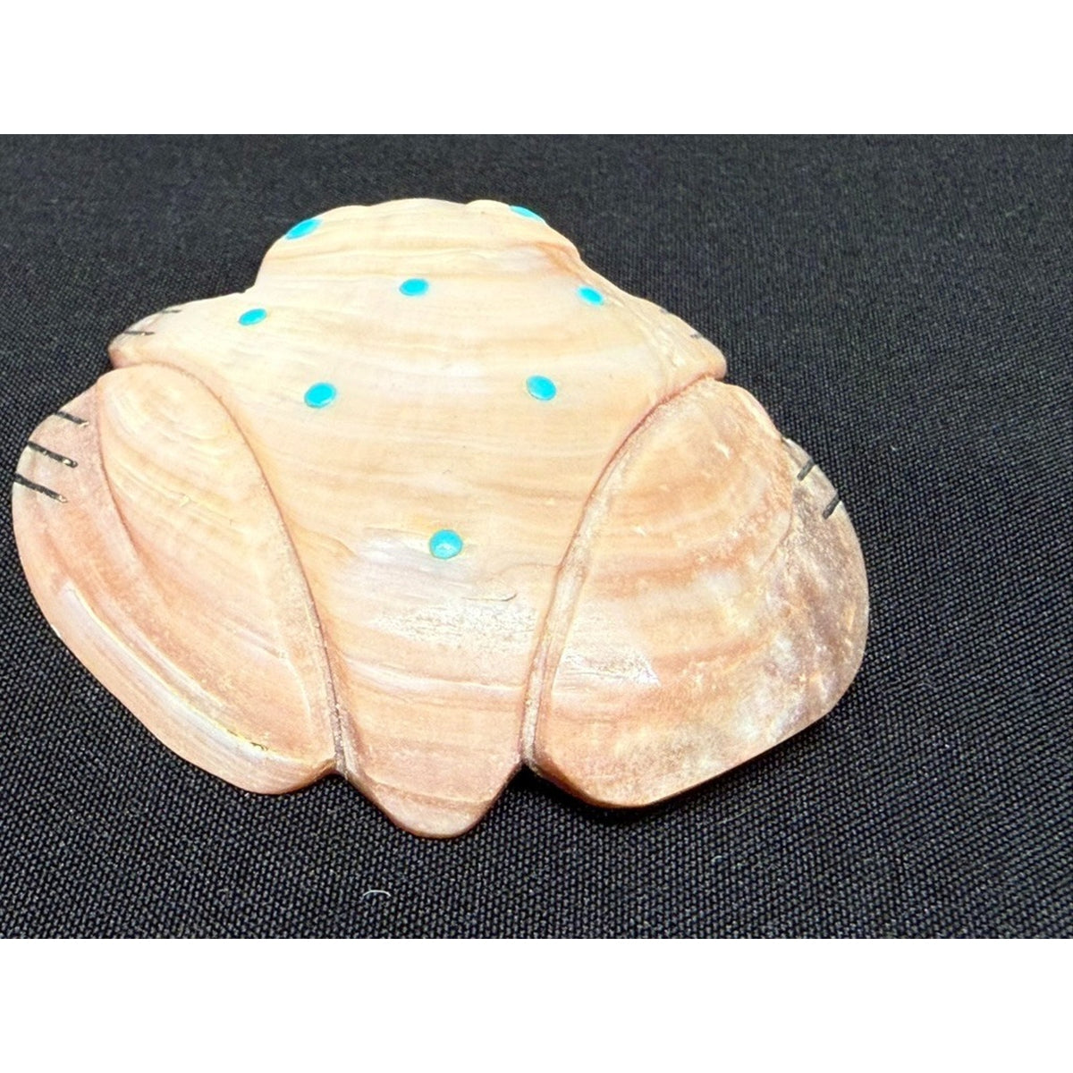 Native American Zuni Shell Fetish Frog Carving w/ Turquoise dots 3"x 3"