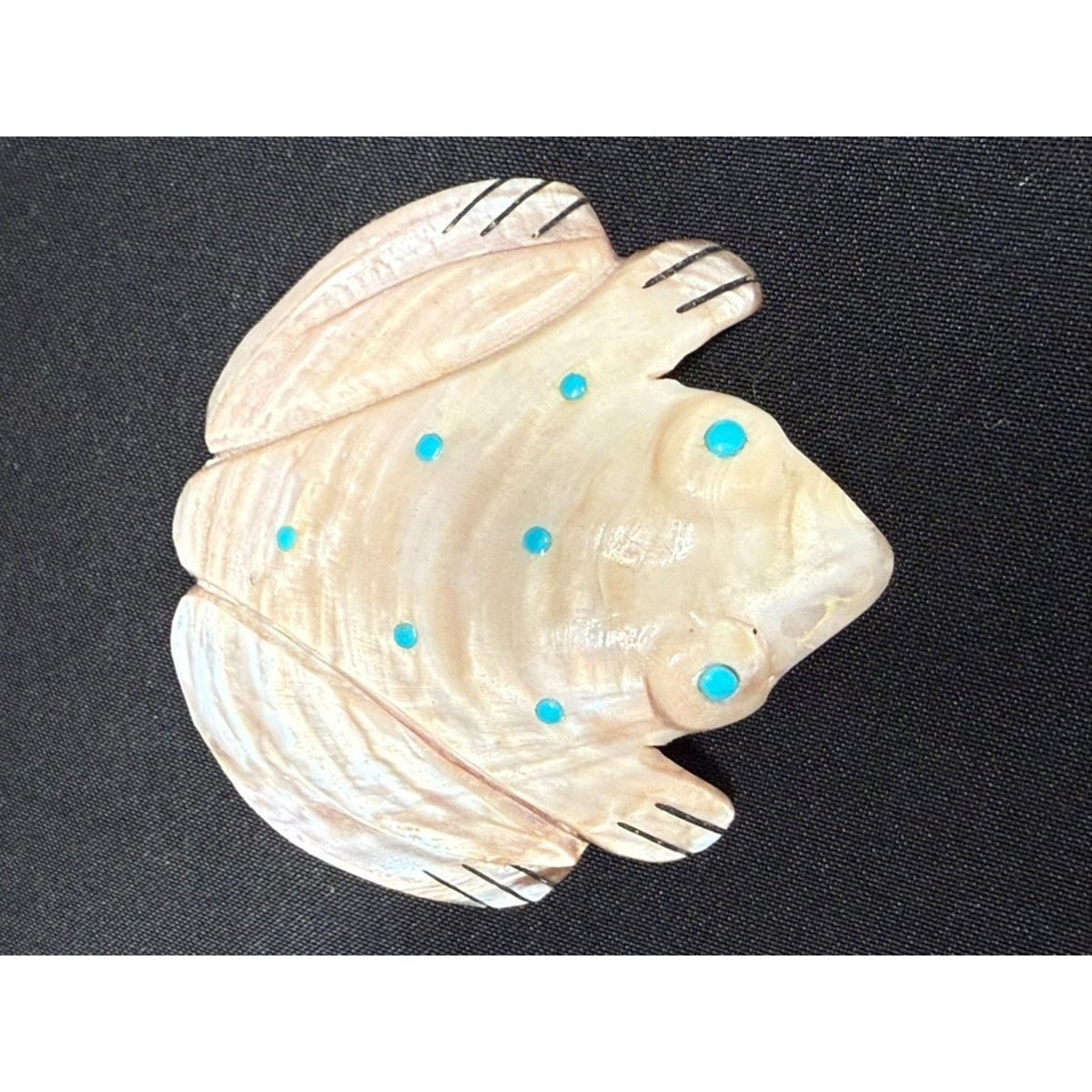 Native American Zuni Shell Fetish Frog Carving w/ Turquoise dots 3"x 3"