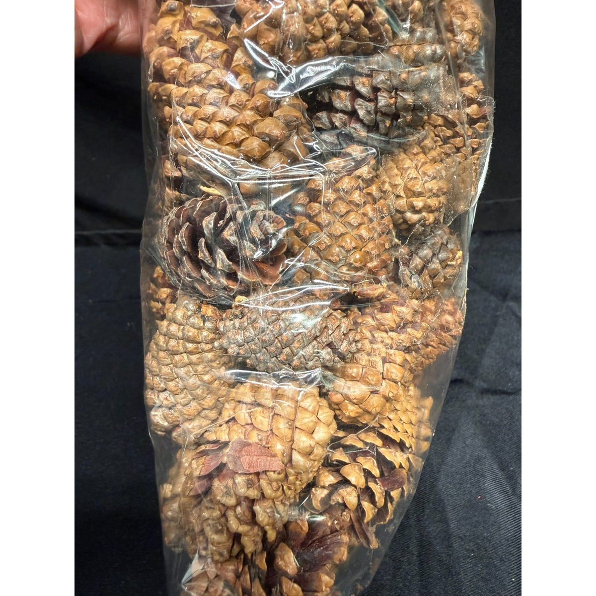 2 lbs Christmas 1-2 Inch Small Brown Pine Cones Thanksgiving Crafts Wreaths 3QTS