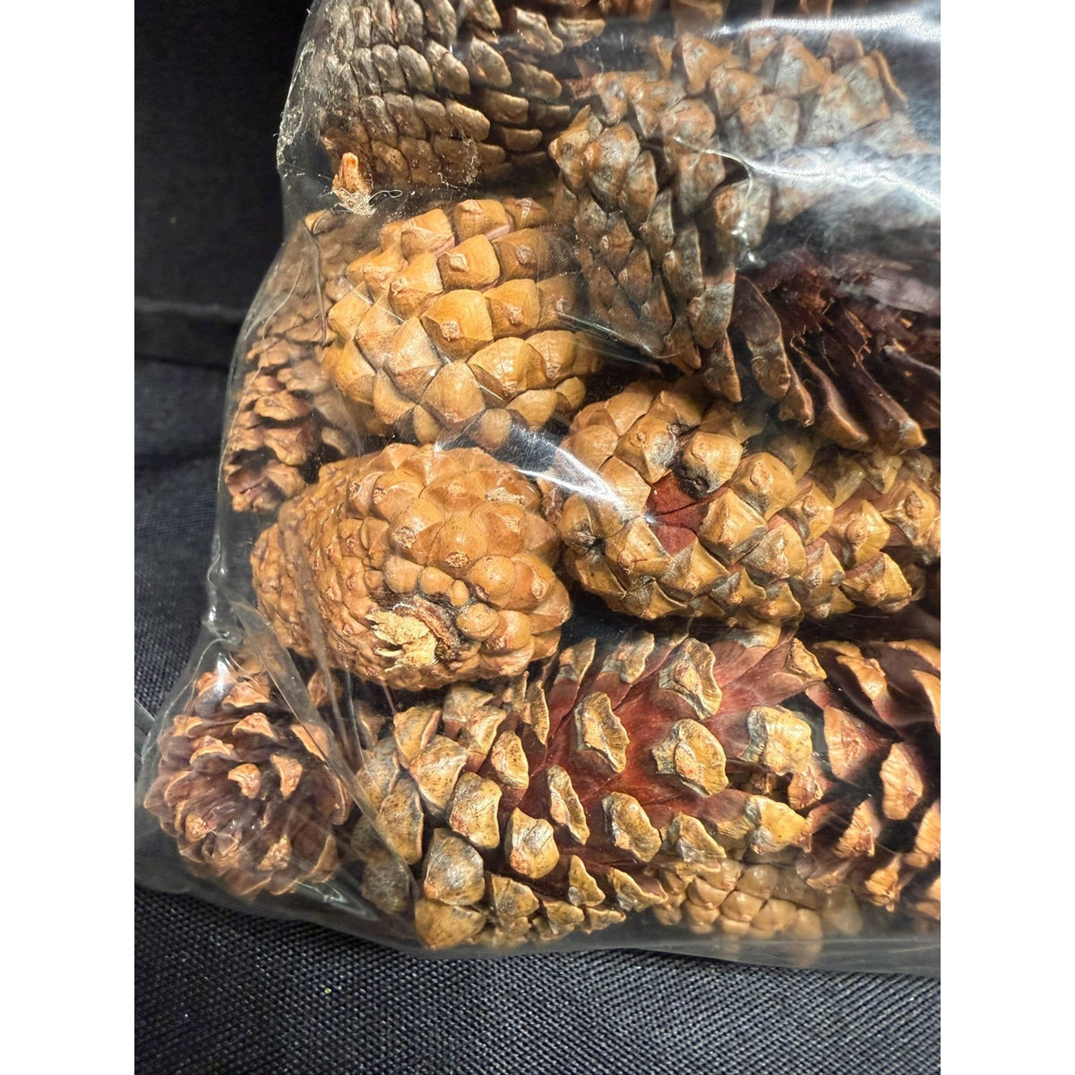 2 lbs Christmas 1-2 Inch Small Brown Pine Cones Thanksgiving Crafts Wreaths 3QTS