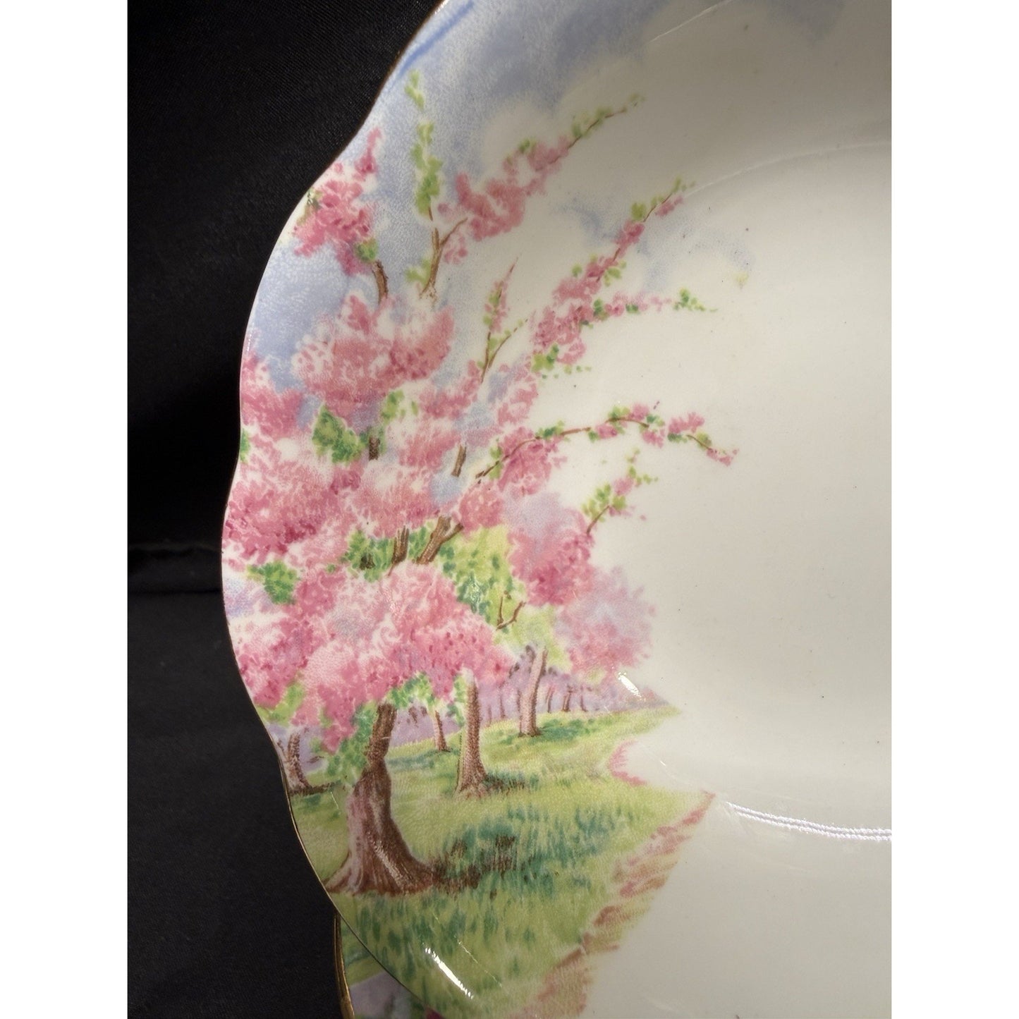 8 Royal Albert England Blossom Time 6” Soup Cereal Bowls Scalloped Rim Pink VTG