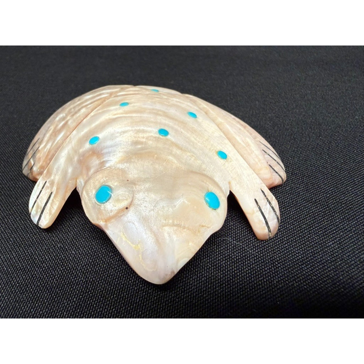 Native American Zuni Shell Fetish Frog Carving w/ Turquoise dots 3"x 3"